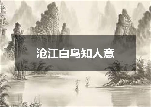 沧江白鸟知人意