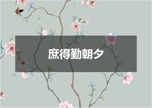 庶得勤朝夕
