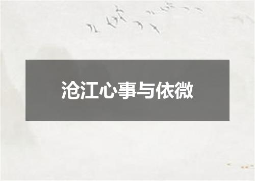 沧江心事与依微