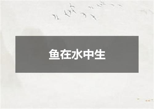 鱼在水中生