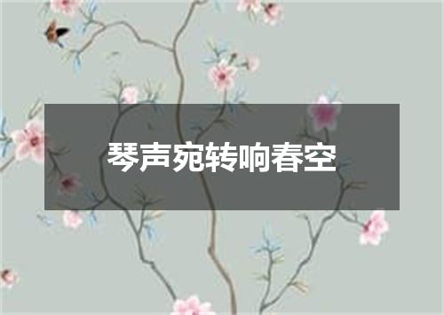 琴声宛转响春空