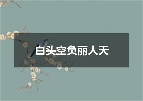白头空负丽人天