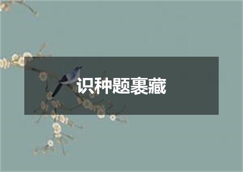 识种题裹藏