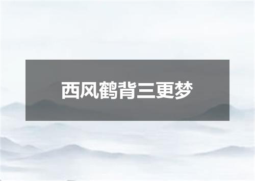 西风鹤背三更梦