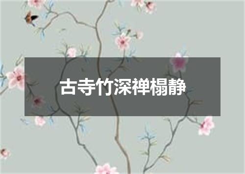 古寺竹深禅榻静