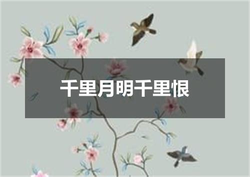 千里月明千里恨