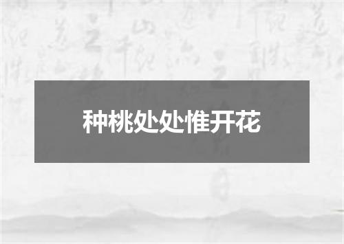 种桃处处惟开花