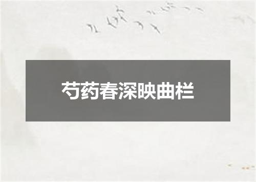 芍药春深映曲栏