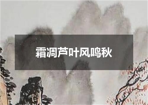 霜凋芦叶风鸣秋