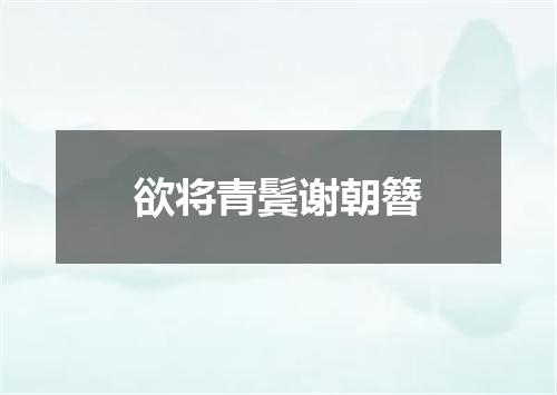 欲将青鬓谢朝簪