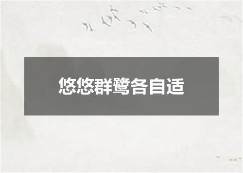 悠悠群鹭各自适
