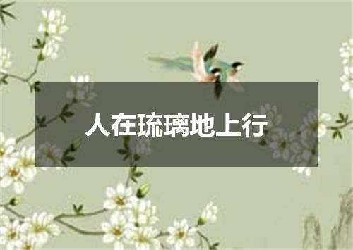 人在琉璃地上行