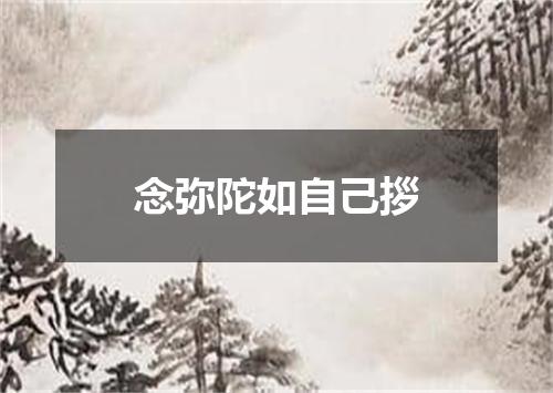 念弥陀如自己拶