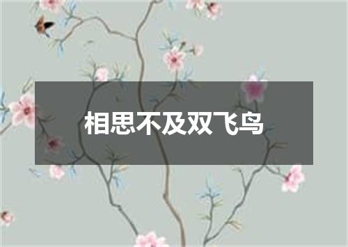相思不及双飞鸟