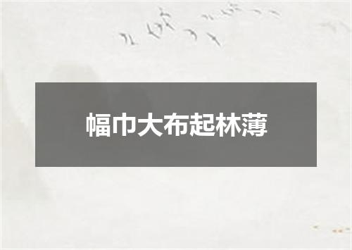 幅巾大布起林薄