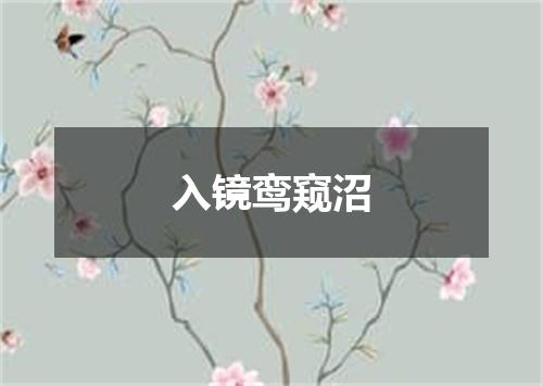 入镜鸾窥沼