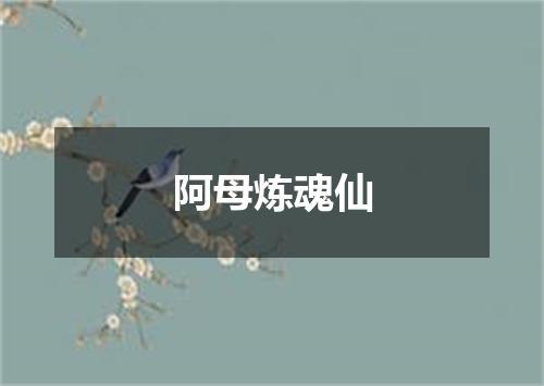 阿母炼魂仙