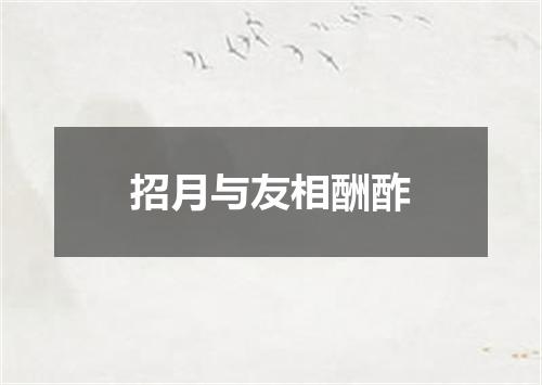 招月与友相酬酢