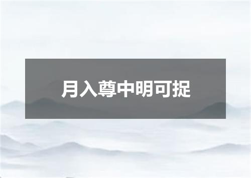 月入尊中明可捉