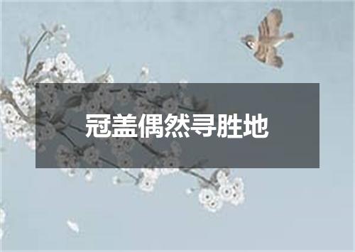 冠盖偶然寻胜地