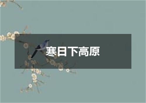 寒日下高原