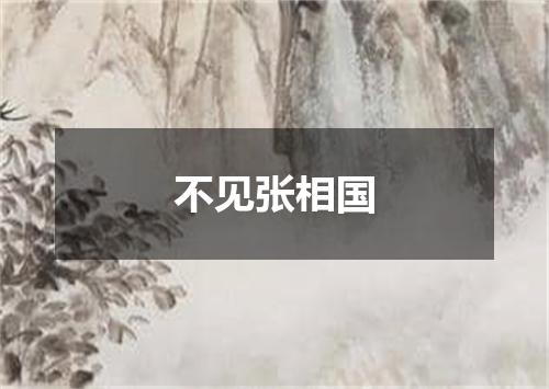 不见张相国