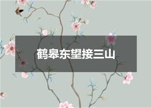 鹤皋东望接三山