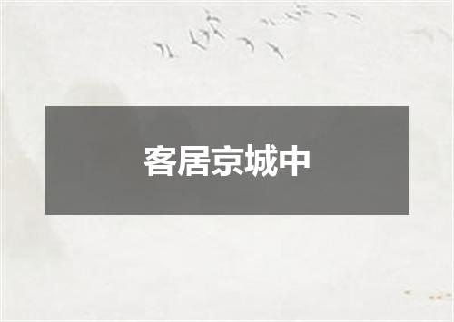 客居京城中