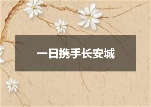 一日携手长安城