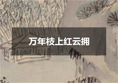 万年枝上红云拥