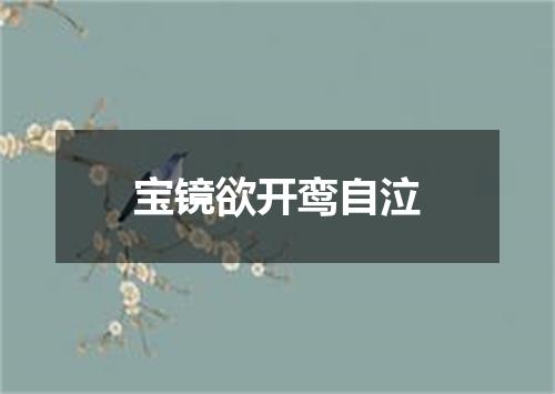 宝镜欲开鸾自泣
