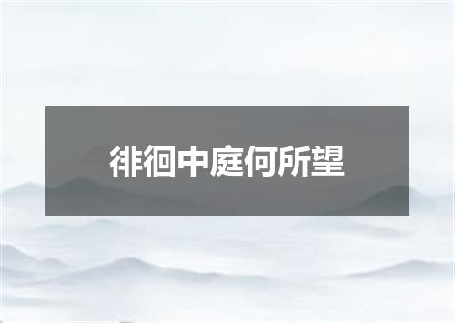 徘徊中庭何所望