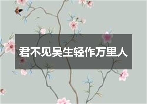 君不见吴生轻作万里人