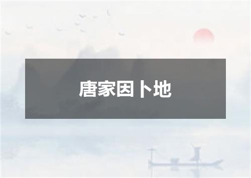 唐家因卜地