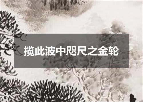 揽此波中咫尺之金轮