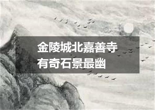 金陵城北嘉善寺有奇石景最幽
