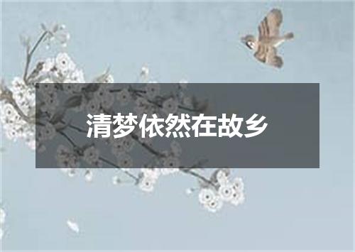 清梦依然在故乡