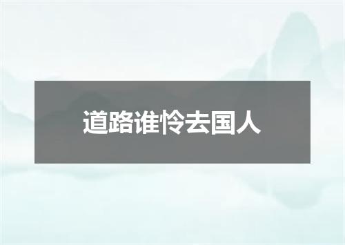道路谁怜去国人