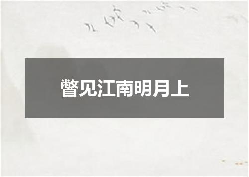 瞥见江南明月上