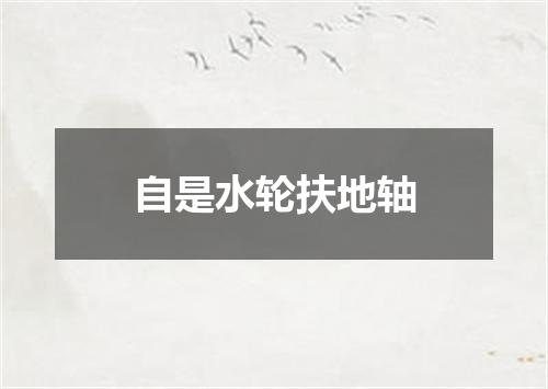 自是水轮扶地轴