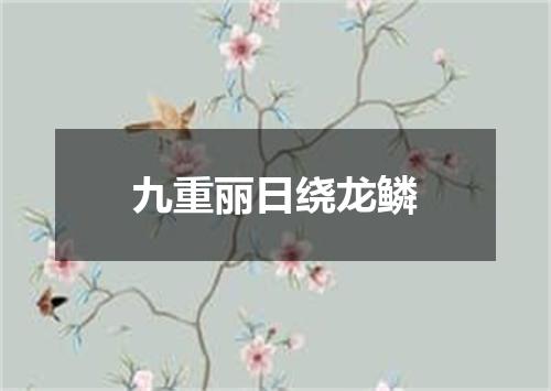 九重丽日绕龙鳞