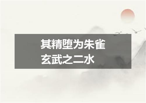 其精堕为朱雀玄武之二水