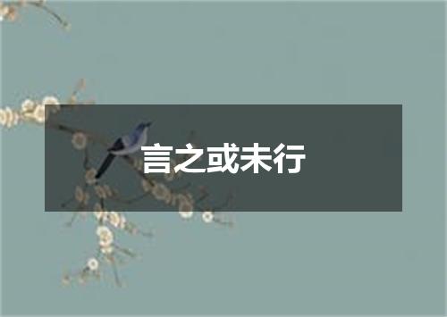言之或未行