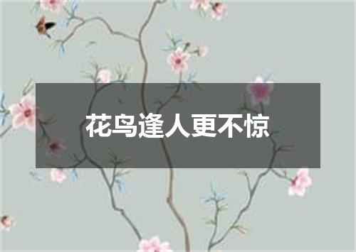 花鸟逢人更不惊