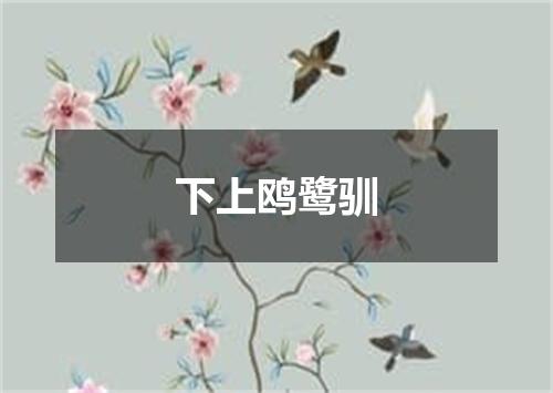 下上鸥鹭驯