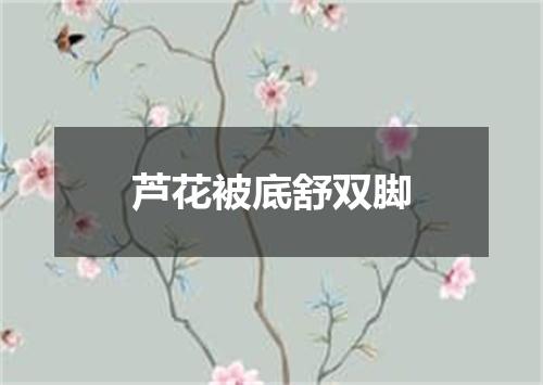 芦花被底舒双脚