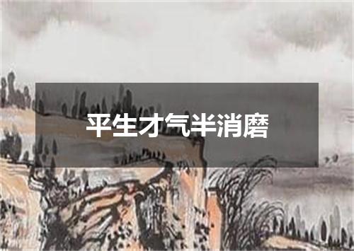 平生才气半消磨