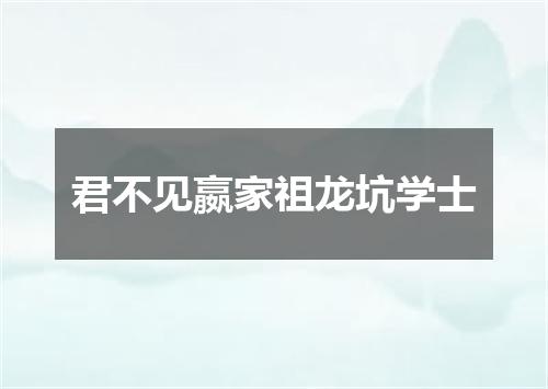 君不见嬴家祖龙坑学士