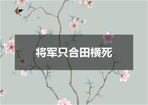 将军只合田横死