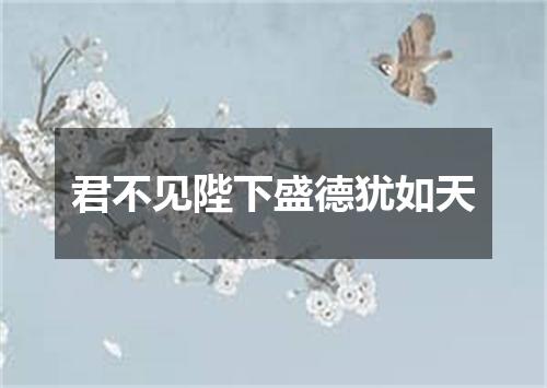 君不见陛下盛德犹如天
